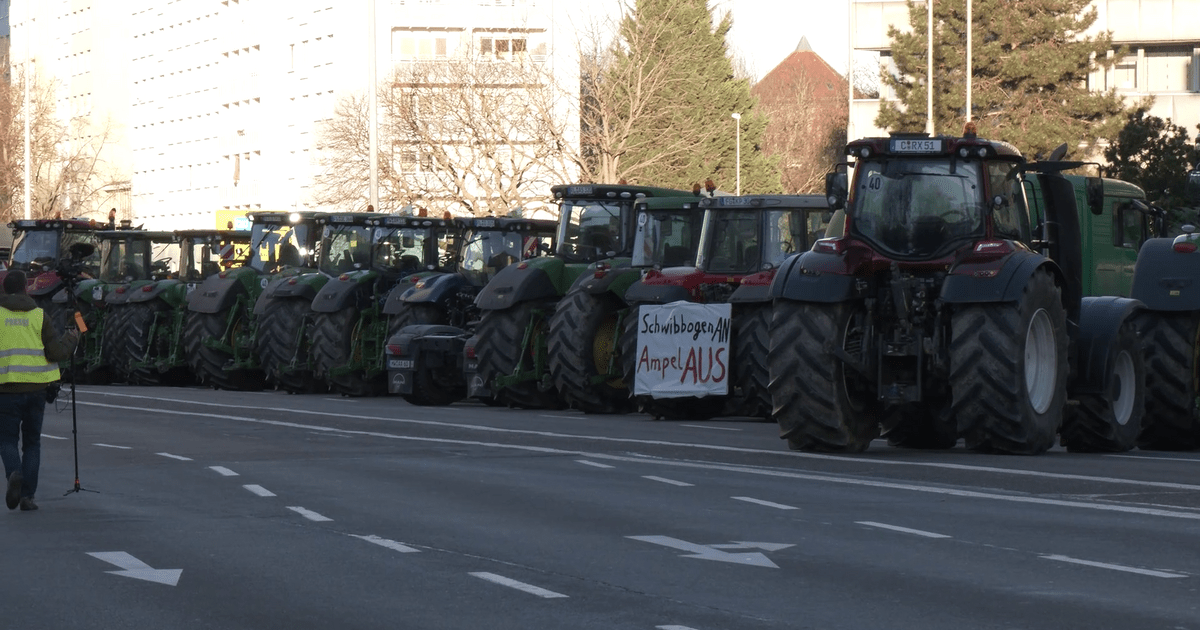 Video Sachsen Bauern Protestieren Gegen Subventionsk Rzung