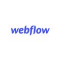 Webflow Hosting & Homepage Baukasten Erfahrungen