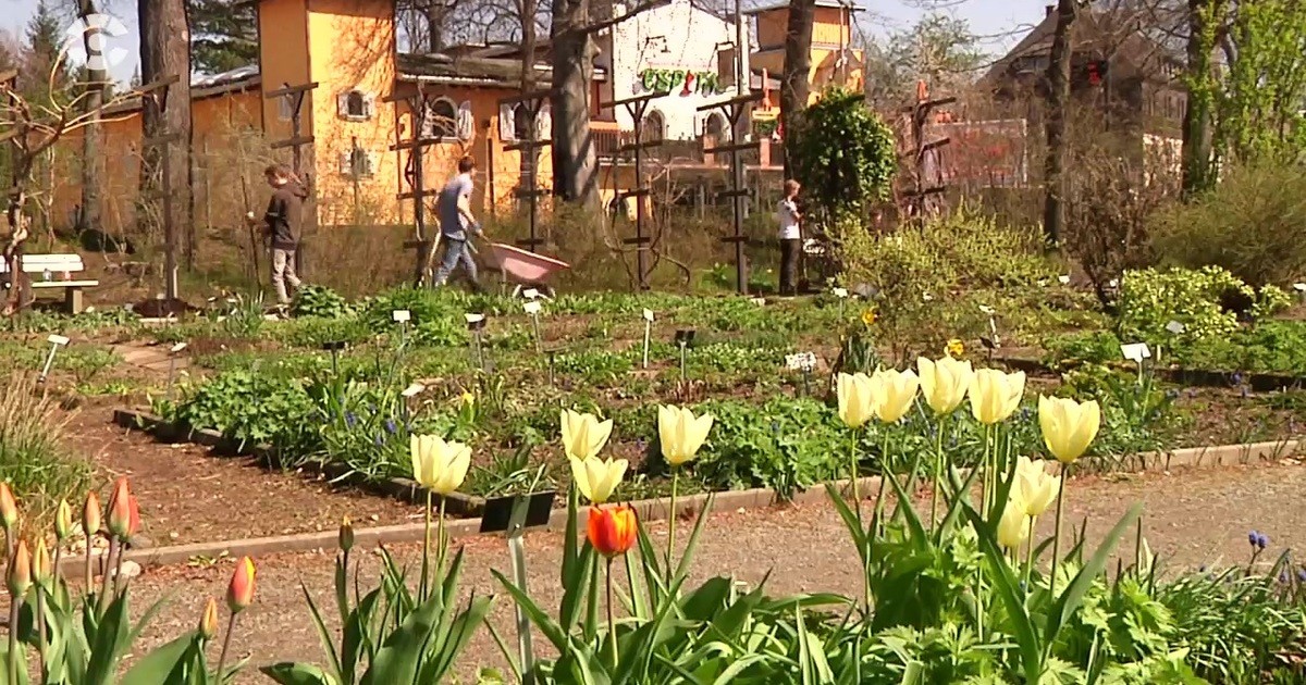 Fleißige Hände im Botanischen Garten SACHSEN FERNSEHEN