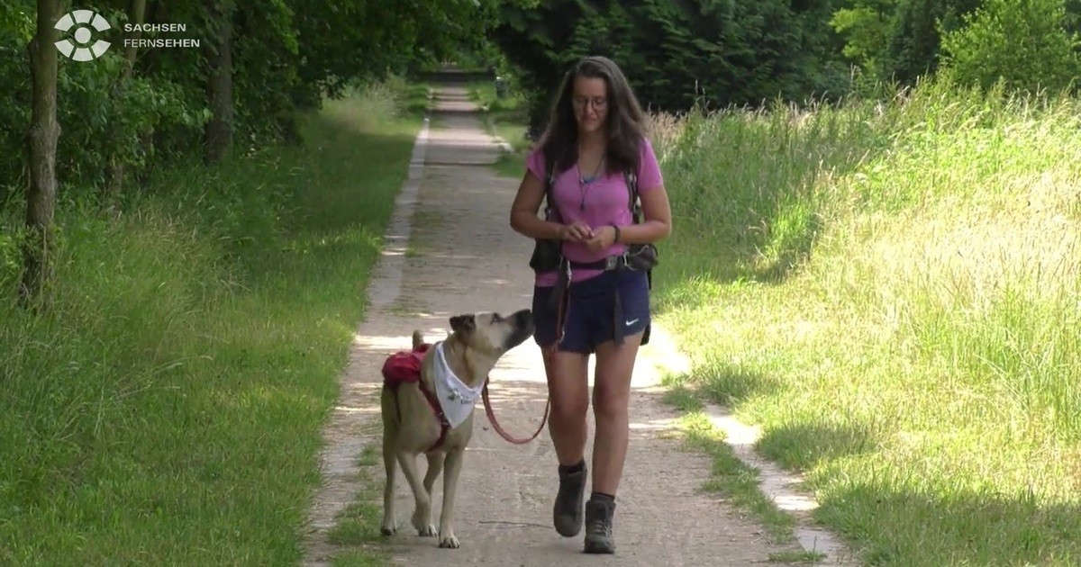 650 Kilometer Frauchen und Hund wandern für guten Zweck SACHSEN