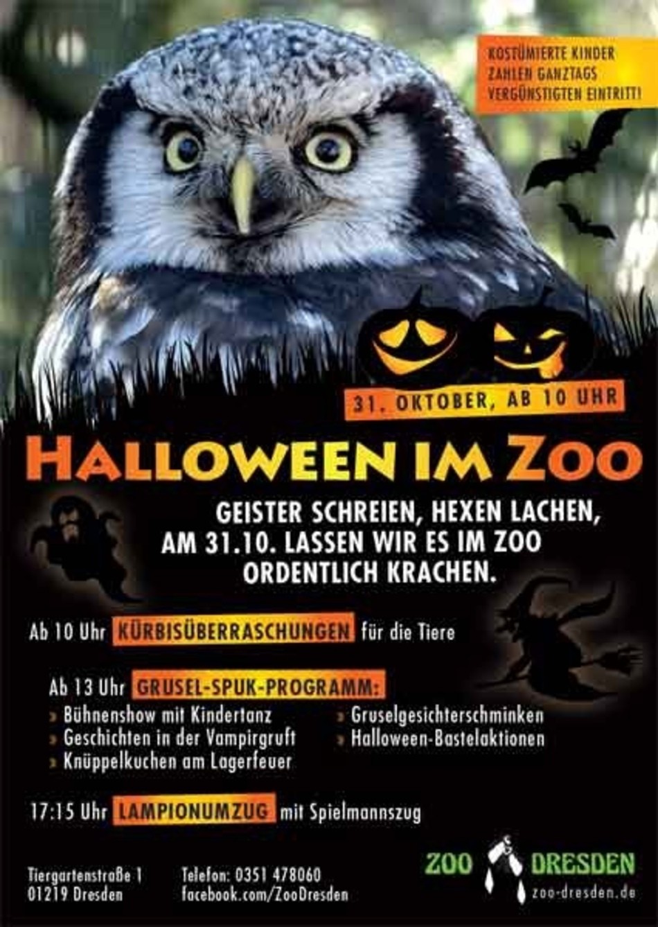 Schaurigschönes Halloween im Zoo Dresden SACHSEN FERNSEHEN